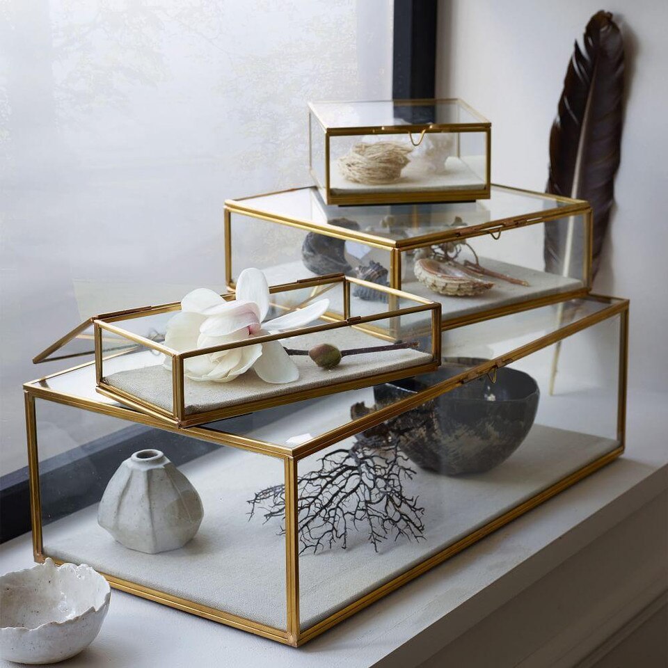 Glass Shadow Boxes west elm United Kingdom